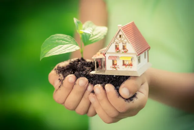 Eco-Friendly Design